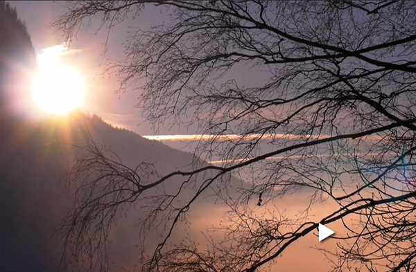 WINTERPOSTCARD